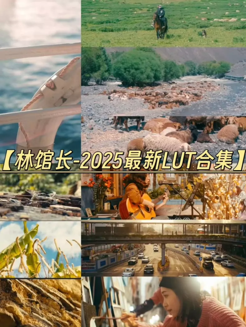 50+款最新升级版【林馆长】LUT包大全图片 1