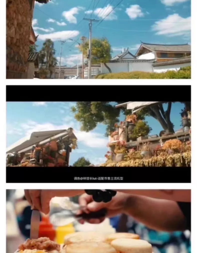 50+款最新升级版【林馆长】LUT包大全图片 2