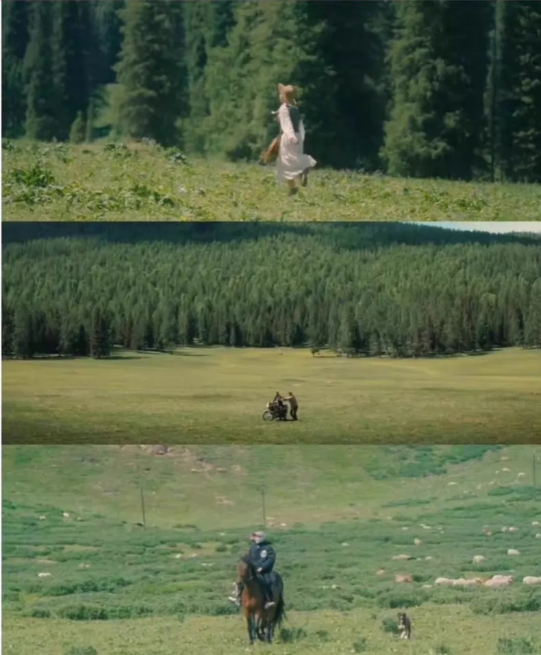 50+款最新升级版【林馆长】LUT包大全图片 3