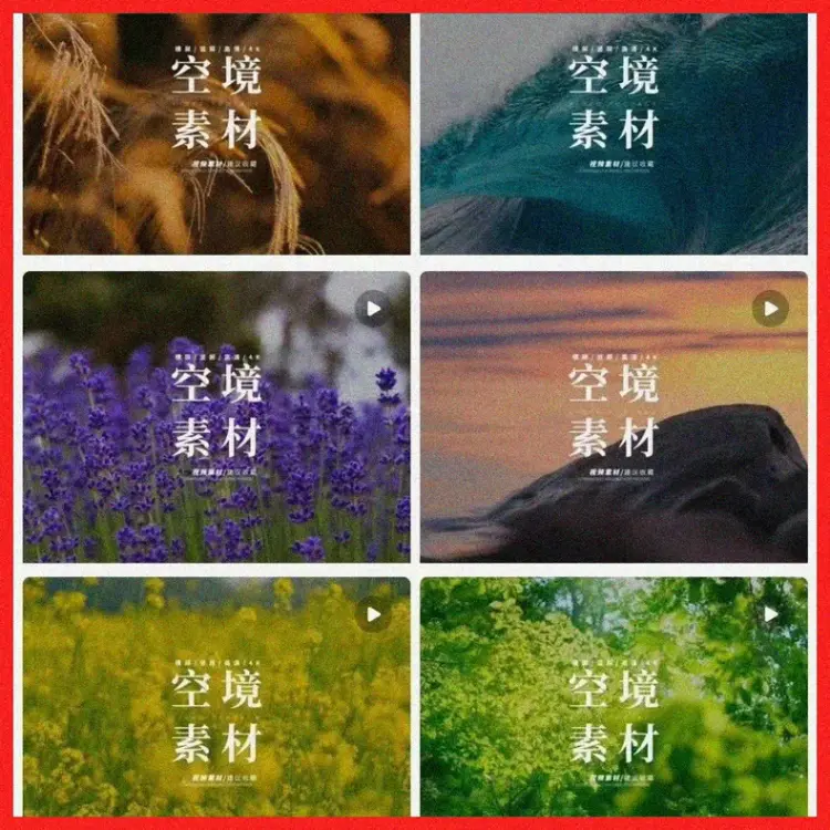 5.webp
