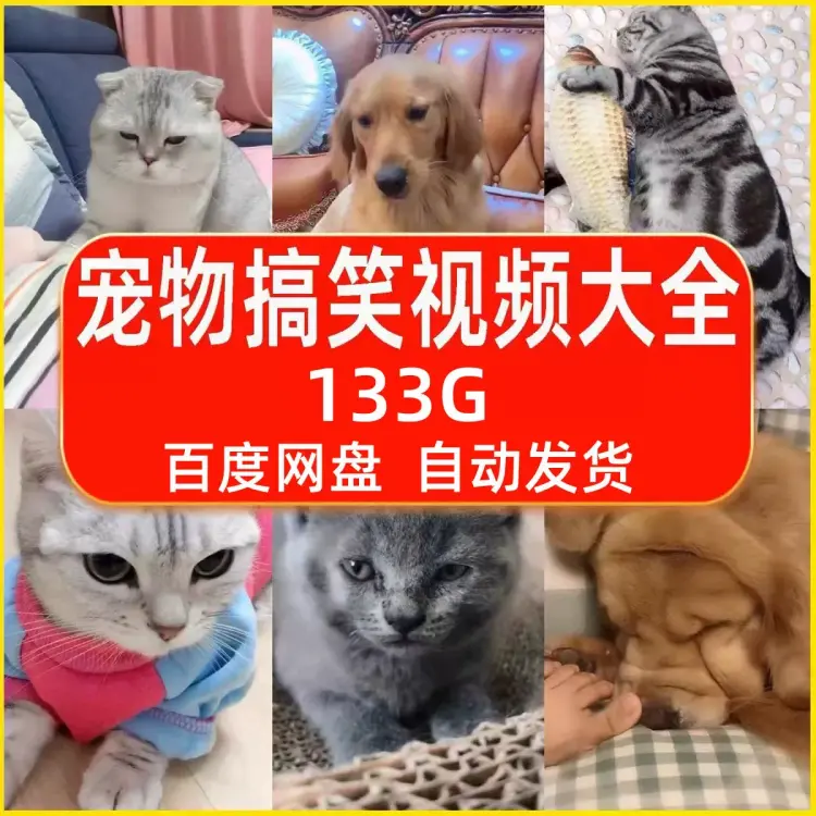 133G宠物搞笑视频剪辑素材大全 第1张