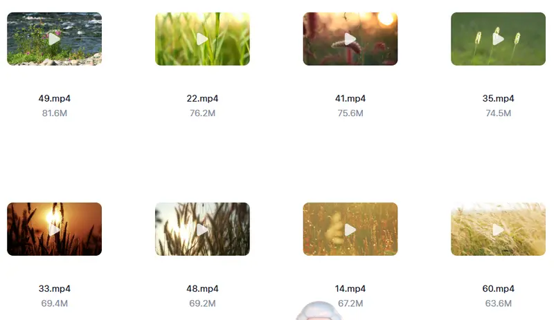 63款唯美小草治愈情感视频素材 高清无水印 第8张 63款唯美小草治愈情感视频素材 高清无水印 第8张