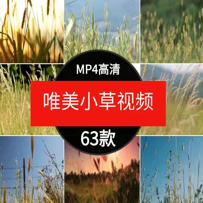 63款唯美小草治愈情感视频素材 高清无水印 第1张 63款唯美小草治愈情感视频素材 高清无水印 第1张