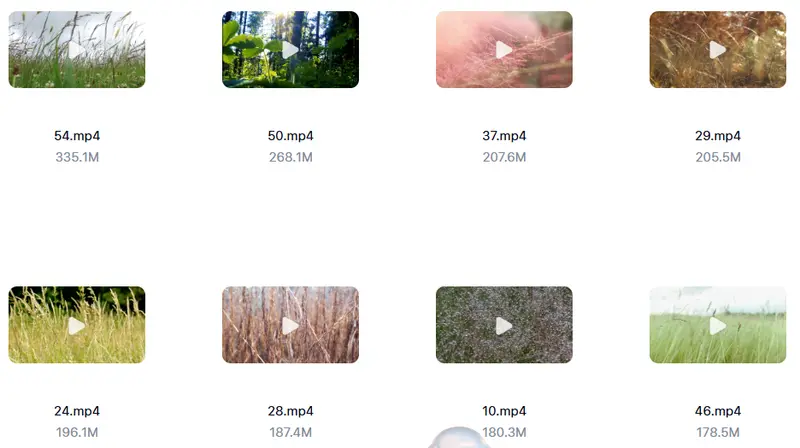 63款唯美小草治愈情感视频素材 高清无水印 第3张 63款唯美小草治愈情感视频素材 高清无水印 第3张