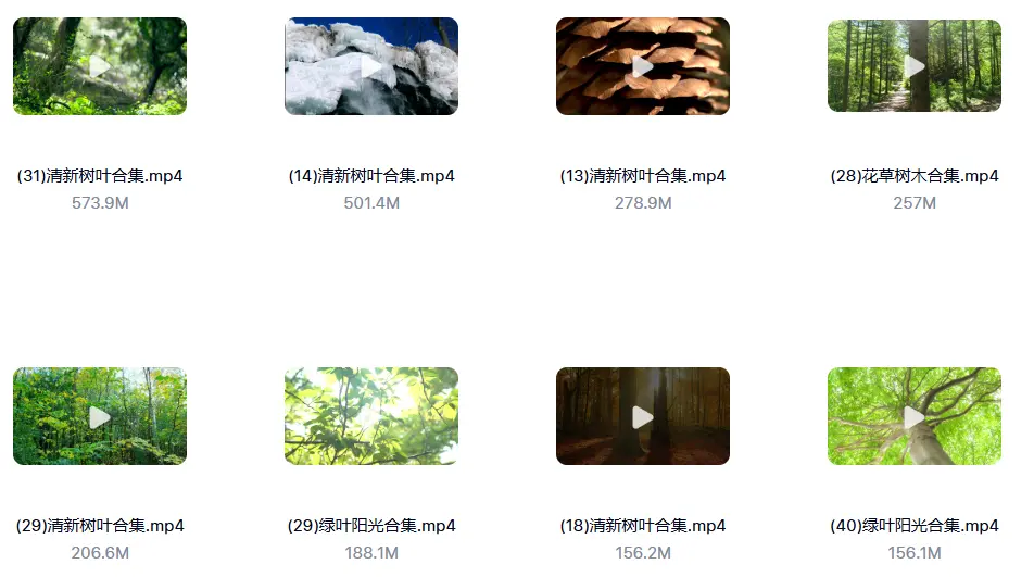 精选122款阳光穿透树叶空镜4K视频素材 第2张 精选122款阳光穿透树叶空镜4K视频素材 第2张