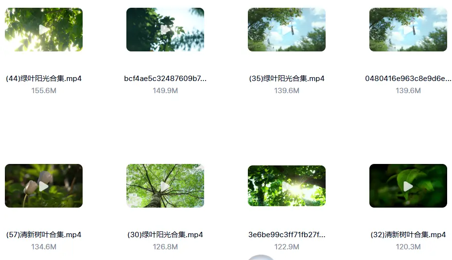 精选122款阳光穿透树叶空镜4K视频素材 第3张 精选122款阳光穿透树叶空镜4K视频素材 第3张