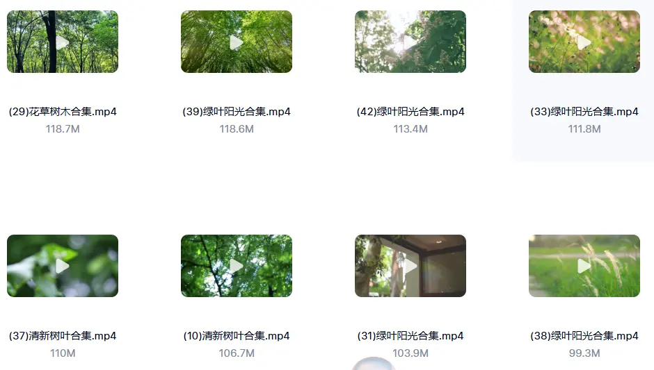 精选122款阳光穿透树叶空镜4K视频素材 第4张 精选122款阳光穿透树叶空镜4K视频素材 第4张