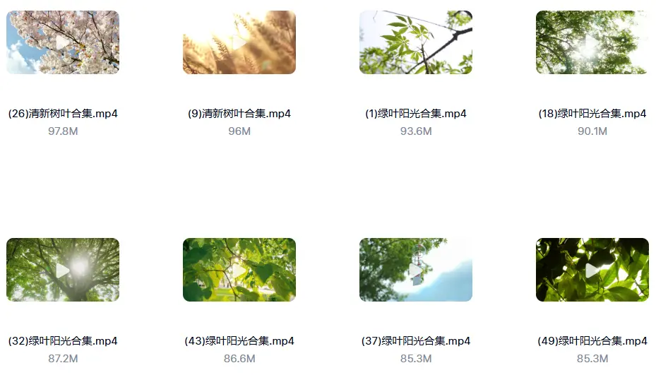 精选122款阳光穿透树叶空镜4K视频素材 第5张 精选122款阳光穿透树叶空镜4K视频素材 第5张