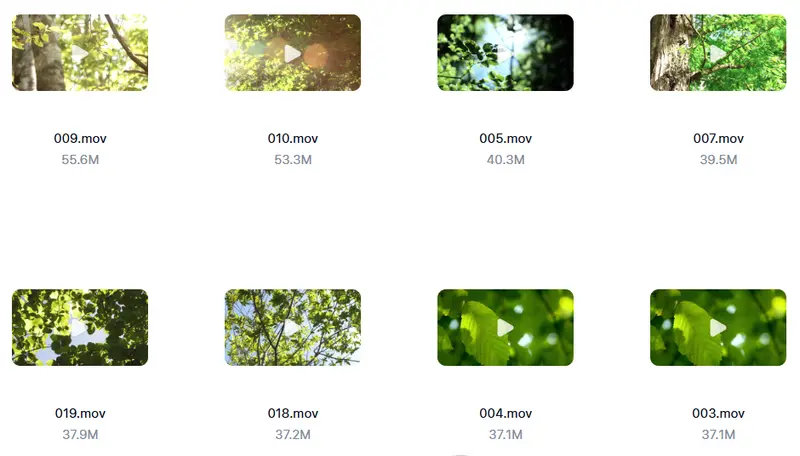精剪2500+款唯美花朵特写视频素材 高清无水印 第5张 精剪2500+款唯美花朵特写视频素材 高清无水印 第5张