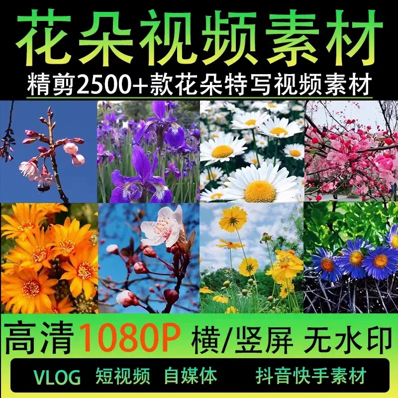 精剪2500+款唯美花朵特写视频素材 高清无水印 第1张 精剪2500+款唯美花朵特写视频素材 高清无水印 第1张