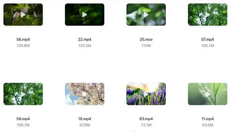 精剪2500+款唯美花朵特写视频素材 高清无水印 第2张 精剪2500+款唯美花朵特写视频素材 高清无水印 第2张