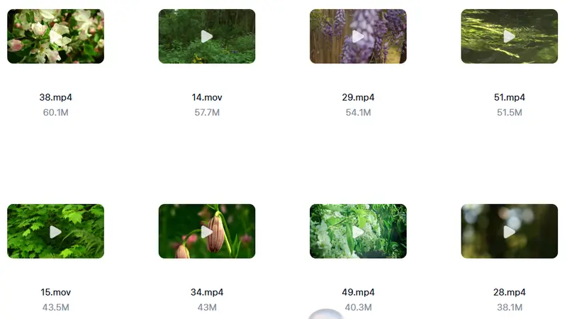 精剪2500+款唯美花朵特写视频素材 高清无水印 第4张 精剪2500+款唯美花朵特写视频素材 高清无水印 第4张