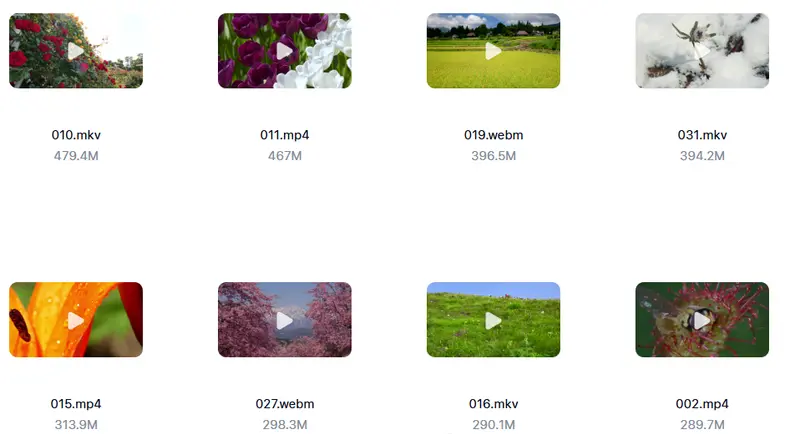 精剪2500+款唯美花朵特写视频素材 高清无水印 第8张 精剪2500+款唯美花朵特写视频素材 高清无水印 第8张