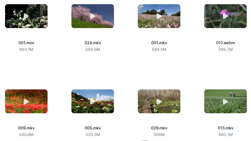 精剪2500+款唯美花朵特写视频素材 高清无水印 第7张 精剪2500+款唯美花朵特写视频素材 高清无水印 第7张