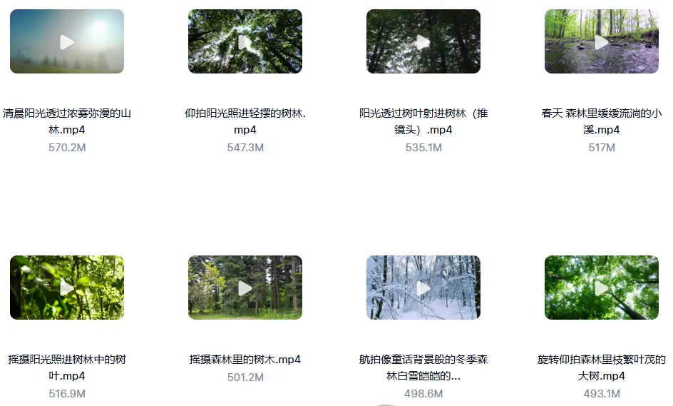 精选114款森林阳光照射大自然美景4K超清视频素材 第5张 精选114款森林阳光照射大自然美景4K超清视频素材 第5张