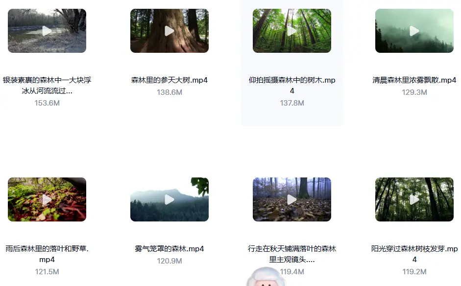 精选114款森林阳光照射大自然美景4K超清视频素材 第7张 精选114款森林阳光照射大自然美景4K超清视频素材 第7张