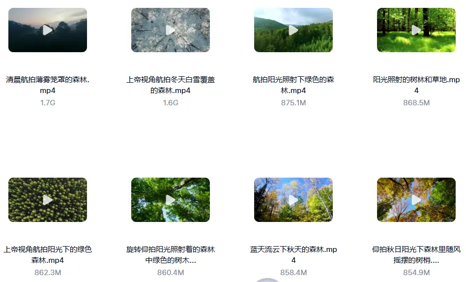 精选114款森林阳光照射大自然美景4K超清视频素材 第2张 精选114款森林阳光照射大自然美景4K超清视频素材 第2张