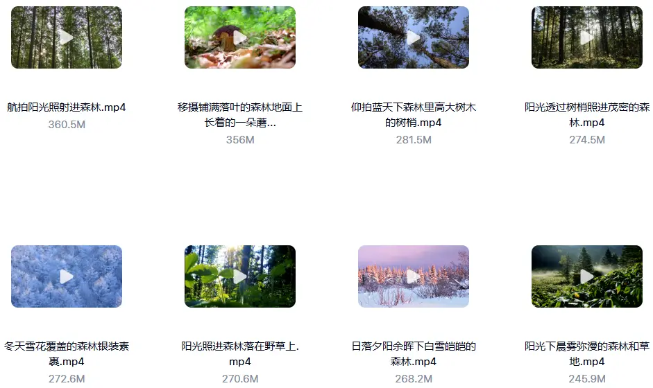 精选114款森林阳光照射大自然美景4K超清视频素材 第6张 精选114款森林阳光照射大自然美景4K超清视频素材 第6张
