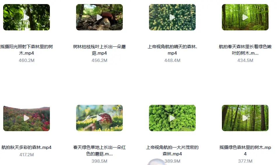 精选114款森林阳光照射大自然美景4K超清视频素材 第4张 精选114款森林阳光照射大自然美景4K超清视频素材 第4张