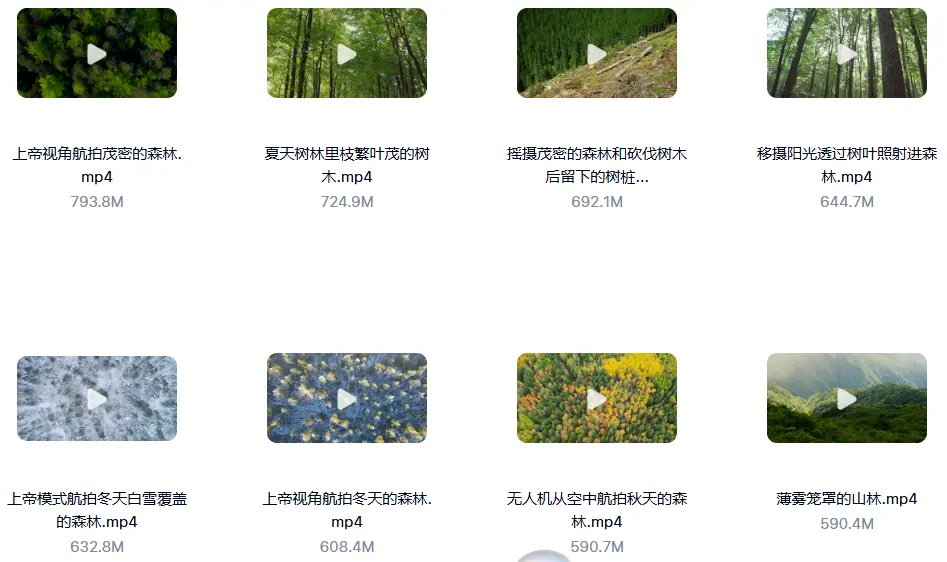 精选114款森林阳光照射大自然美景4K超清视频素材 第3张 精选114款森林阳光照射大自然美景4K超清视频素材 第3张
