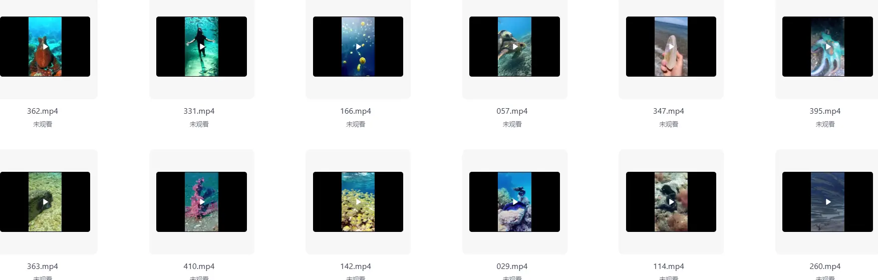 454款海底鱼类海洋珊瑚实拍竖屏视频素材 第5张 454款海底鱼类海洋珊瑚实拍竖屏视频素材 第5张