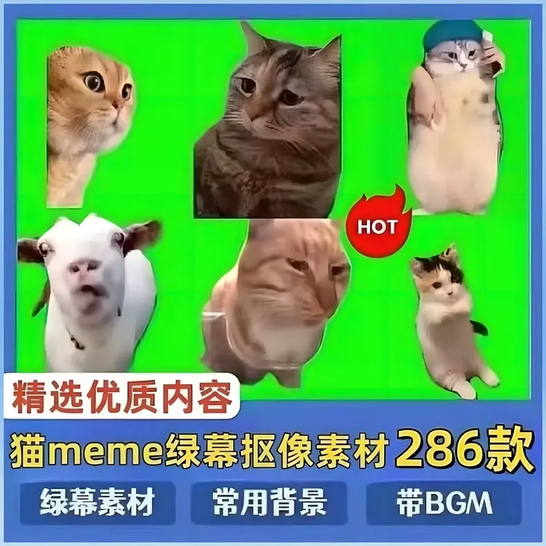 286款搞笑猫咪meme视频绿幕素材合集 第1张 286款搞笑猫咪meme视频绿幕素材合集 第1张