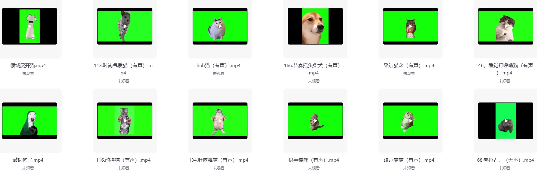 286款搞笑猫咪meme视频绿幕素材合集 第5张 286款搞笑猫咪meme视频绿幕素材合集 第5张