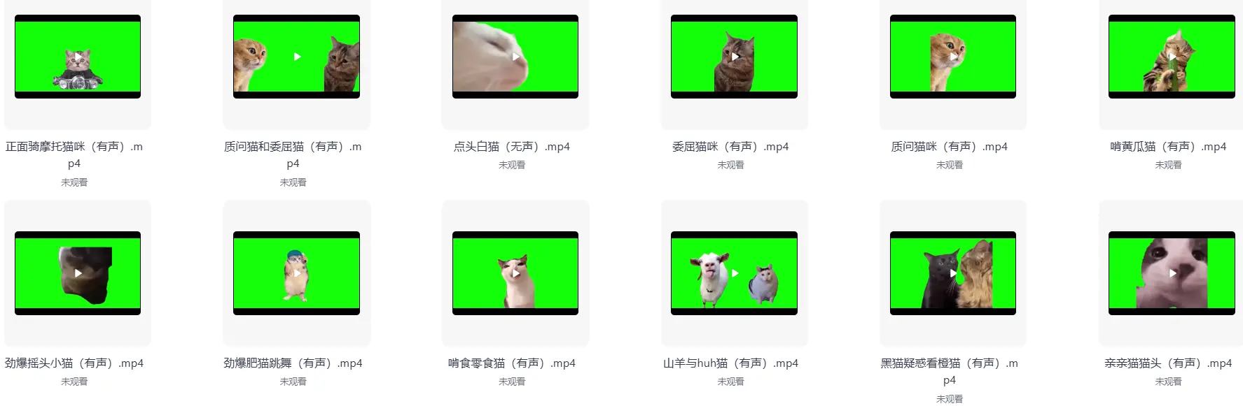 286款搞笑猫咪meme视频绿幕素材合集 第2张 286款搞笑猫咪meme视频绿幕素材合集 第2张