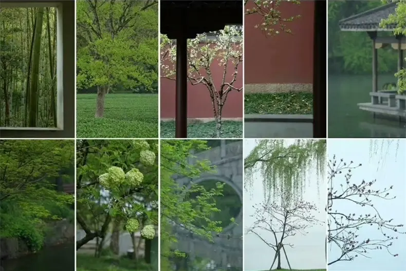 精选5000款江南古风风景唯美治愈系视频素材 第4张 精选5000款江南古风风景唯美治愈系视频素材 第4张