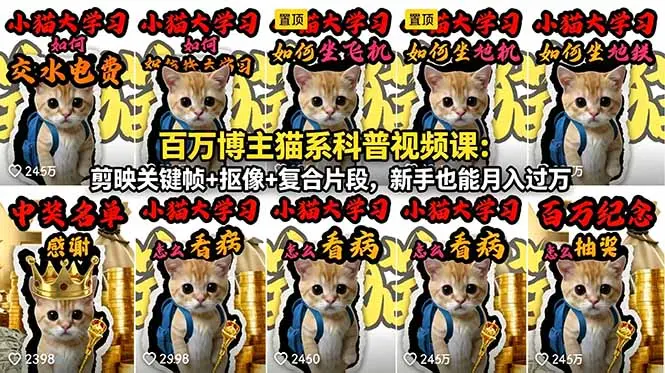 百万博主猫系科普视频课:剪映关键帧+抠像+复合片段,新手也能月入过万 第1张 百万博主猫系科普视频课:剪映关键帧+抠像+复合片段,新手也能月入过万 第1张