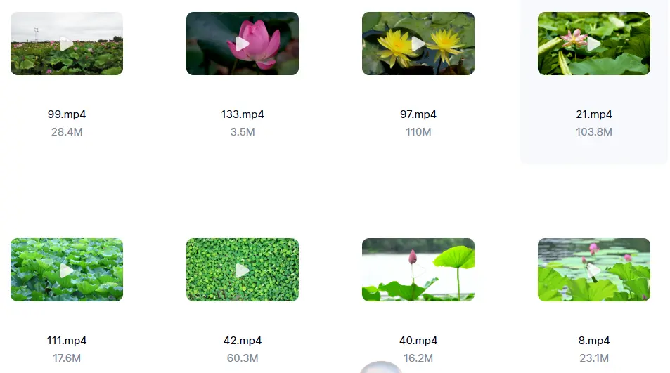 精选138款唯美清新荷叶荷花莲花横屏视频素材 第3张 精选138款唯美清新荷叶荷花莲花横屏视频素材 第3张