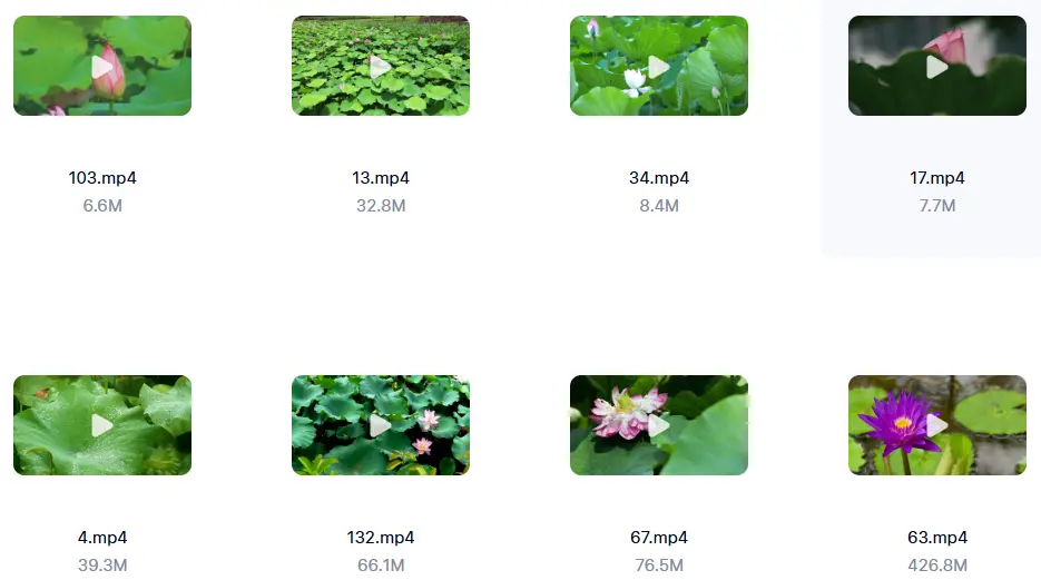 精选138款唯美清新荷叶荷花莲花横屏视频素材 第4张 精选138款唯美清新荷叶荷花莲花横屏视频素材 第4张