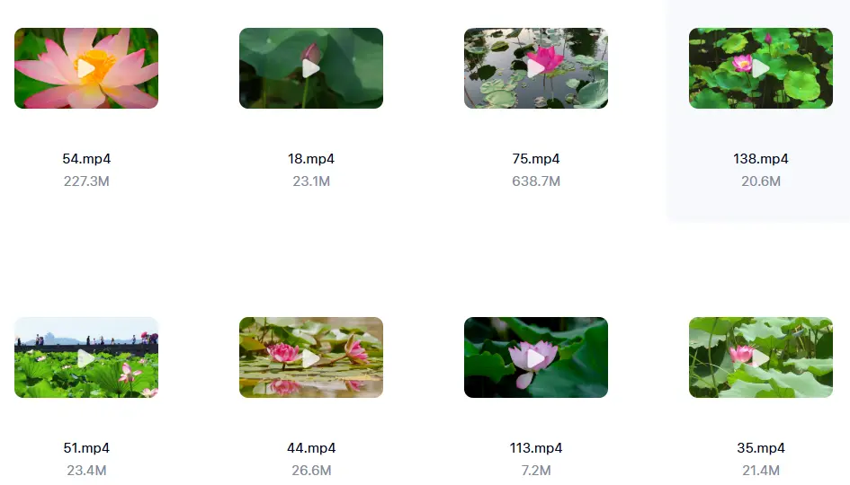精选138款唯美清新荷叶荷花莲花横屏视频素材 第2张 精选138款唯美清新荷叶荷花莲花横屏视频素材 第2张