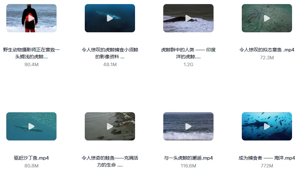 1000G野生动物世界4K高清纪录片横屏视频素材 无字幕 第6张 1000G野生动物世界4K高清纪录片横屏视频素材 无字幕 第6张