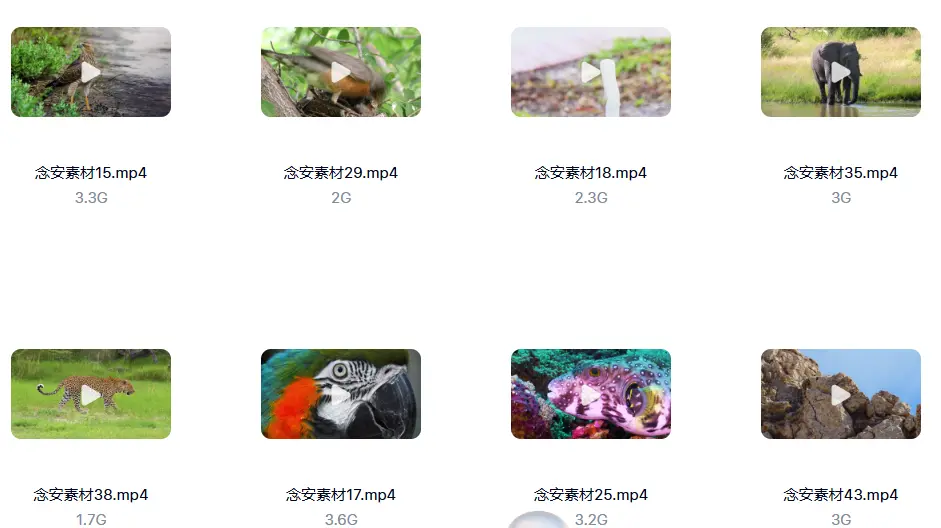 1000G野生动物世界4K高清纪录片横屏视频素材 无字幕 第4张 1000G野生动物世界4K高清纪录片横屏视频素材 无字幕 第4张