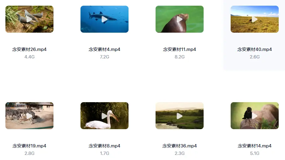 1000G野生动物世界4K高清纪录片横屏视频素材 无字幕 第2张 1000G野生动物世界4K高清纪录片横屏视频素材 无字幕 第2张