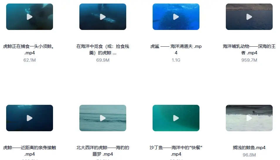 1000G野生动物世界4K高清纪录片横屏视频素材 无字幕 第5张 1000G野生动物世界4K高清纪录片横屏视频素材 无字幕 第5张