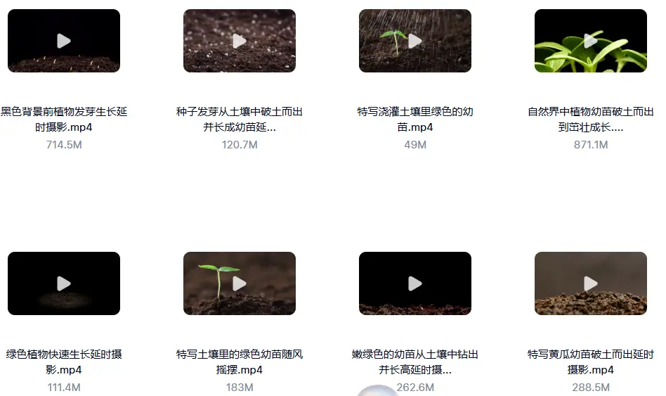 18款精选绿叶发芽生长横屏延时视频素材 第3张 18款精选绿叶发芽生长横屏延时视频素材 第3张