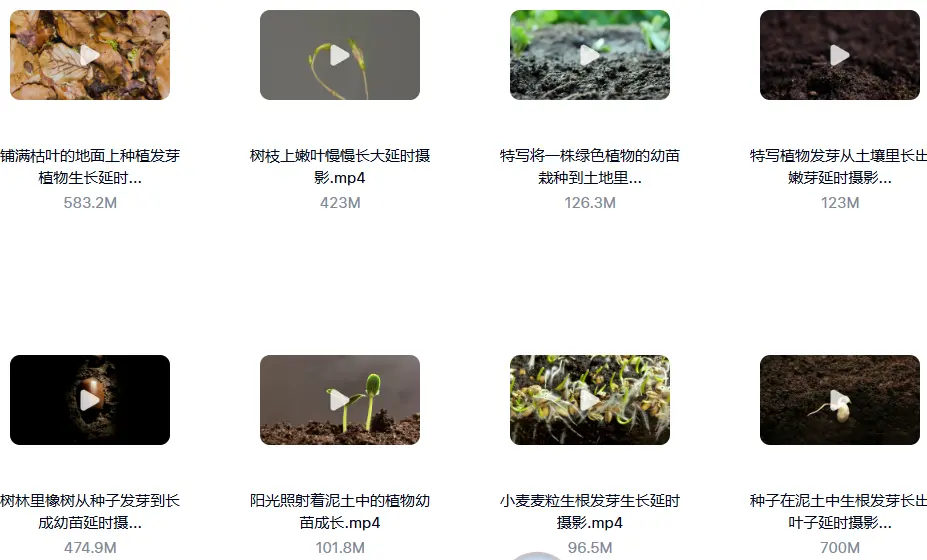 18款精选绿叶发芽生长横屏延时视频素材 第2张 18款精选绿叶发芽生长横屏延时视频素材 第2张