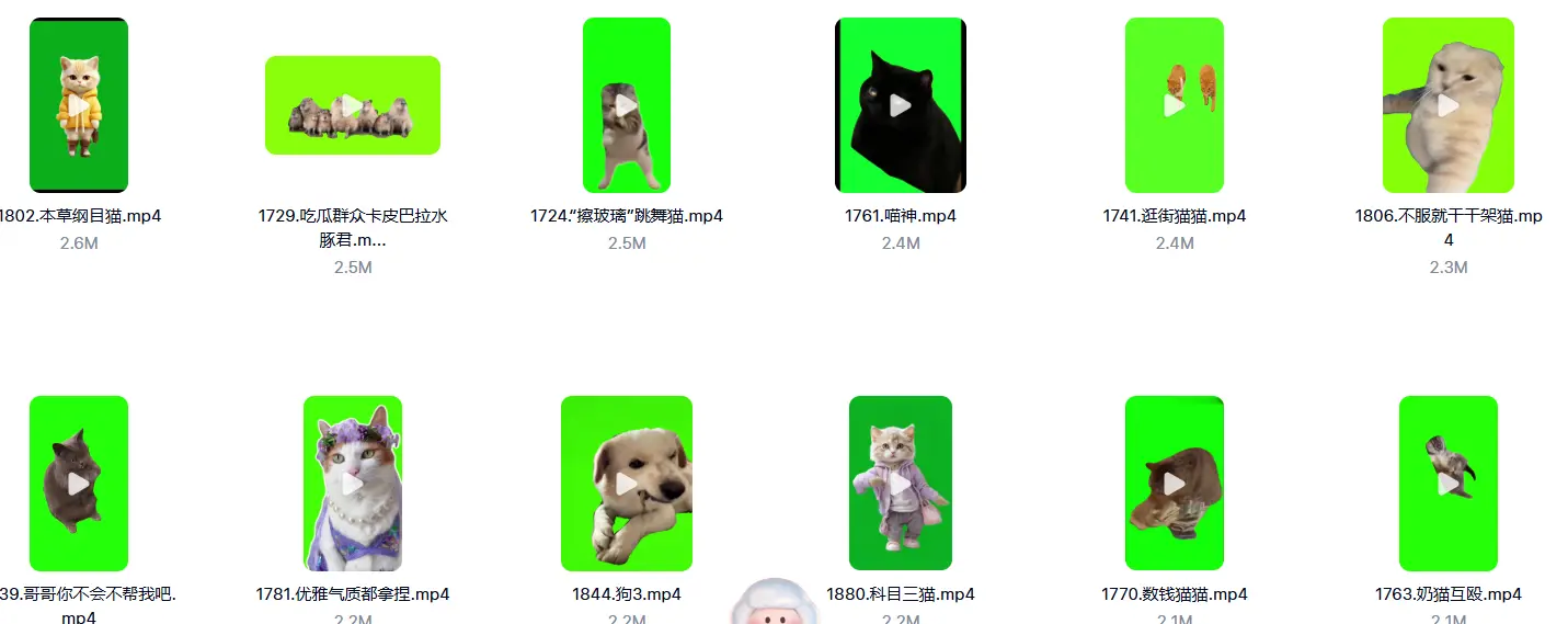 7200+款猫meme绿幕视频素材+背景素材+音效+教程 第5张 7200+款猫meme绿幕视频素材+背景素材+音效+教程 第5张