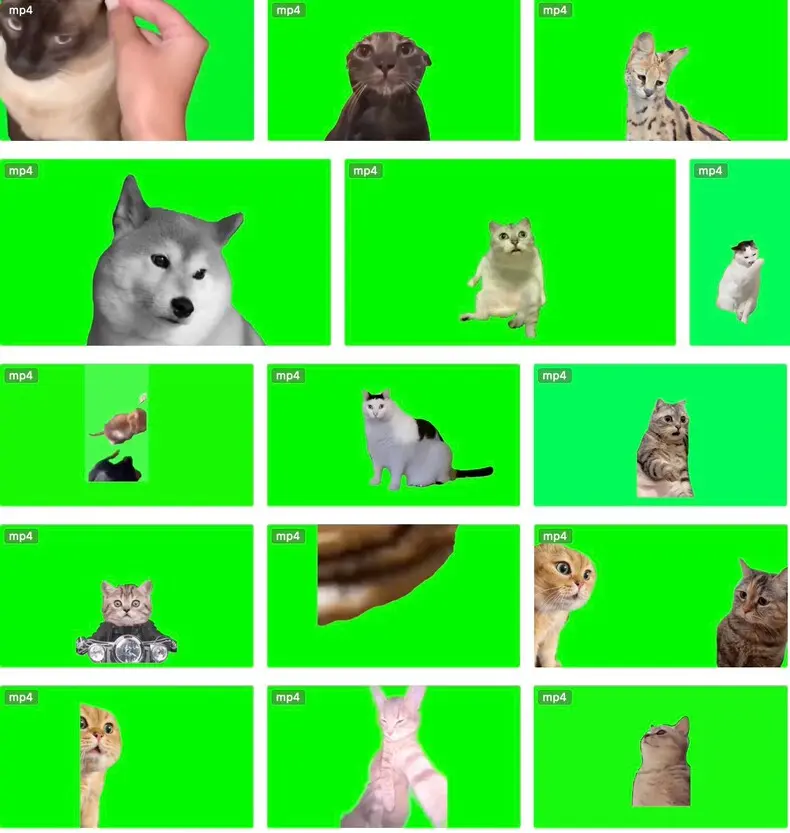 7200+款猫meme绿幕视频素材+背景素材+音效+教程 第2张 7200+款猫meme绿幕视频素材+背景素材+音效+教程 第2张