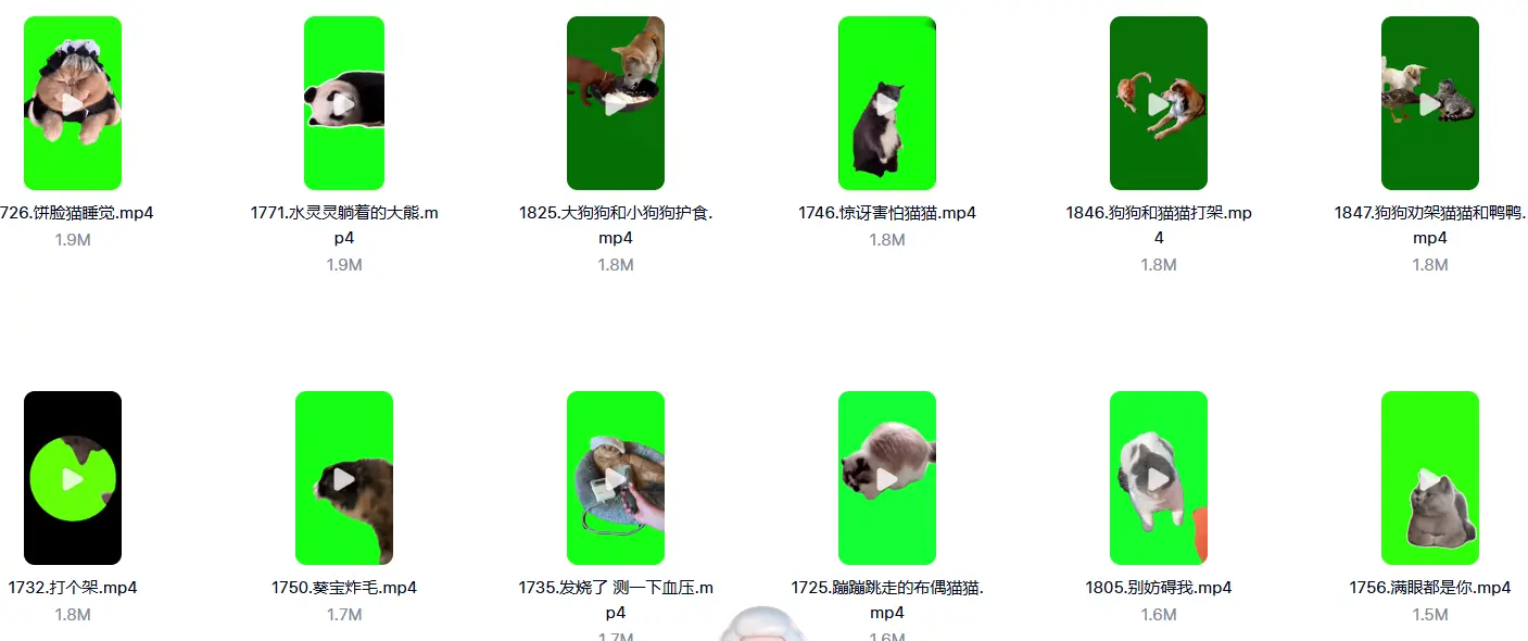 7200+款猫meme绿幕视频素材+背景素材+音效+教程 第6张 7200+款猫meme绿幕视频素材+背景素材+音效+教程 第6张