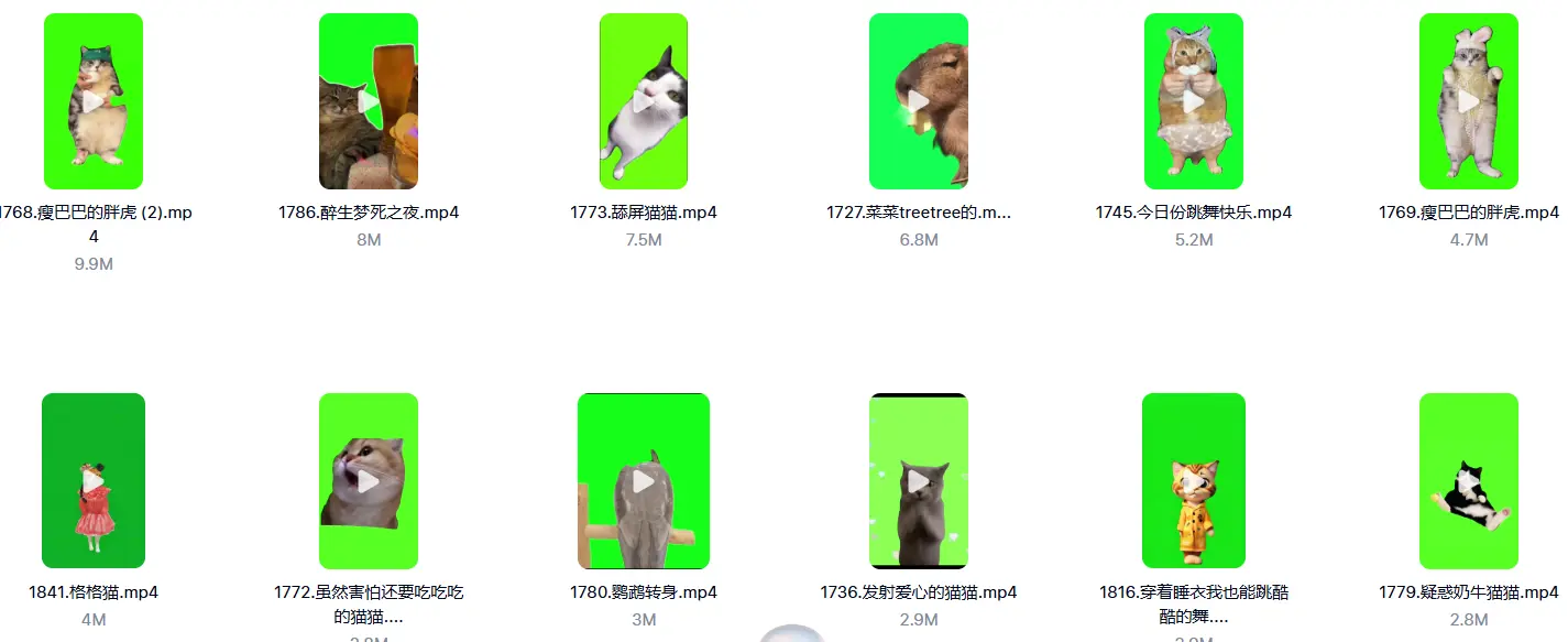 7200+款猫meme绿幕视频素材+背景素材+音效+教程 第4张 7200+款猫meme绿幕视频素材+背景素材+音效+教程 第4张
