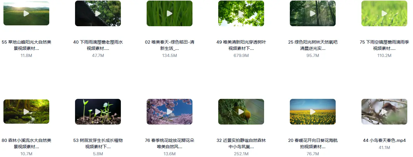 精选80款春天春暖花开复苏春雨横屏视频素材 第6张 精选80款春天春暖花开复苏春雨横屏视频素材 第6张