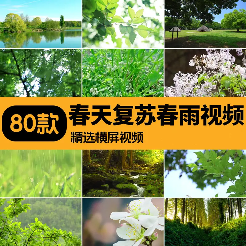 精选80款春天春暖花开复苏春雨横屏视频素材 第1张 精选80款春天春暖花开复苏春雨横屏视频素材 第1张