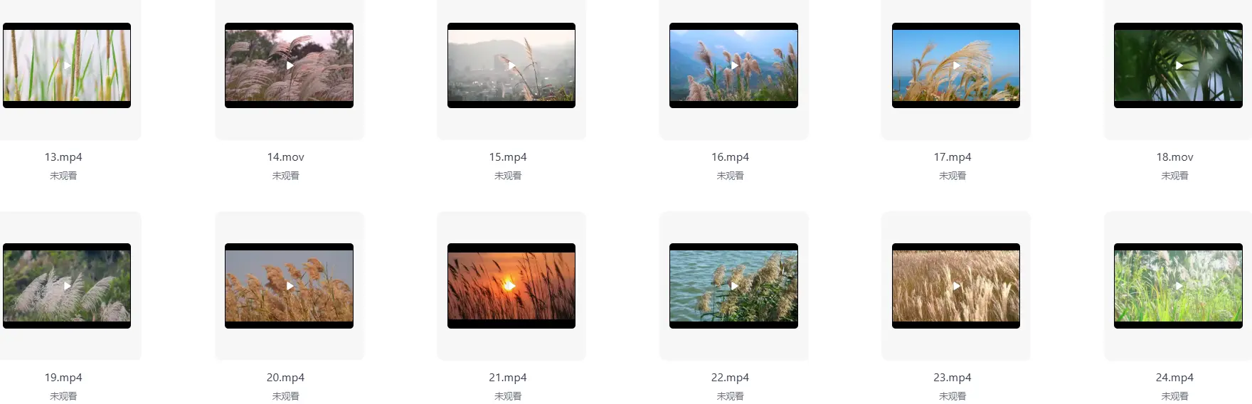 精选50款4K夕阳黄昏芦苇荡风景横屏视频素材 第3张 精选50款4K夕阳黄昏芦苇荡风景横屏视频素材 第3张