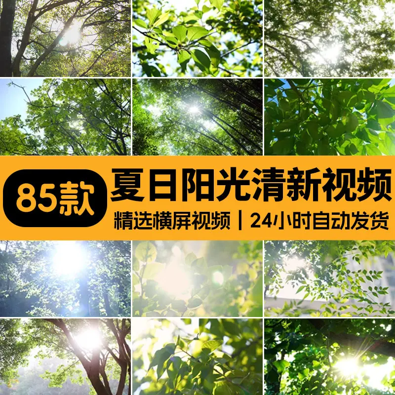 精选85款4K夏日阳光唯美清新视频素材 第1张 精选85款4K夏日阳光唯美清新视频素材 第1张