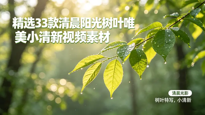 精选33款清晨阳光树叶唯美小清新视频素材 第1张 精选33款清晨阳光树叶唯美小清新视频素材 第1张