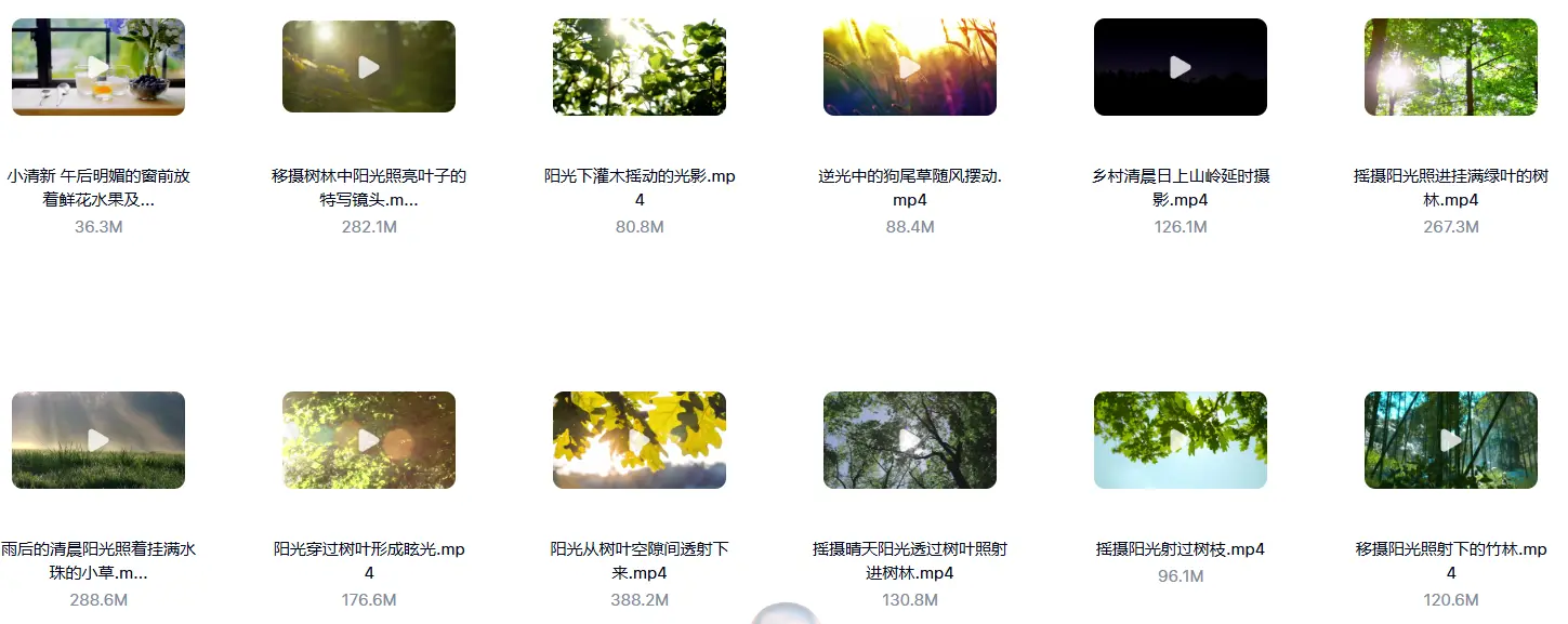 精选33款清晨阳光树叶唯美小清新视频素材 第2张 精选33款清晨阳光树叶唯美小清新视频素材 第2张