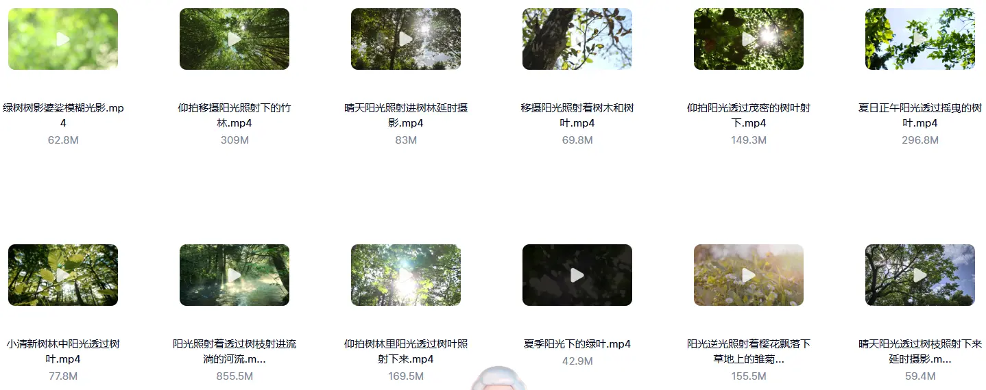 精选33款清晨阳光树叶唯美小清新视频素材 第3张 精选33款清晨阳光树叶唯美小清新视频素材 第3张